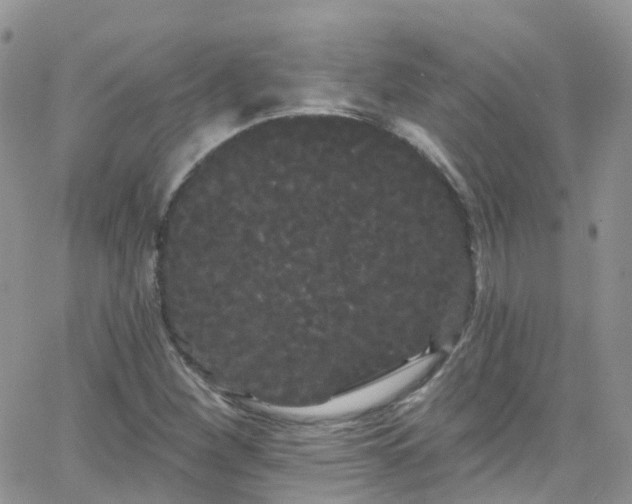 X0000066091260200603171046