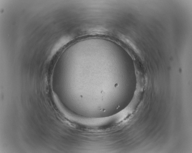 X0000066091261200603171046