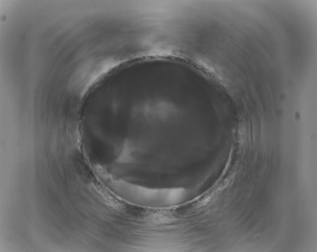 X0000066091262200603171046