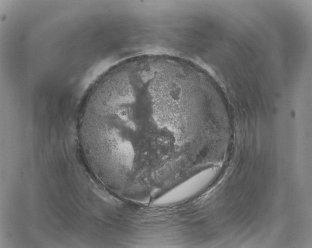 X0000066091263200603171046