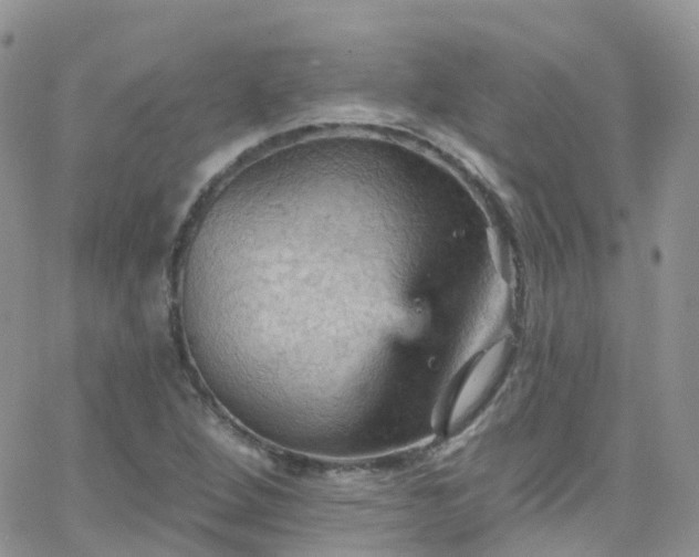 X0000066091264200603171046