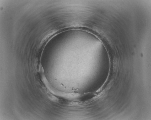 X0000066091265200603171046