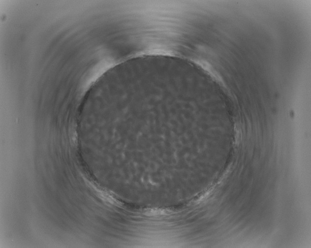 X0000066091266200603171046