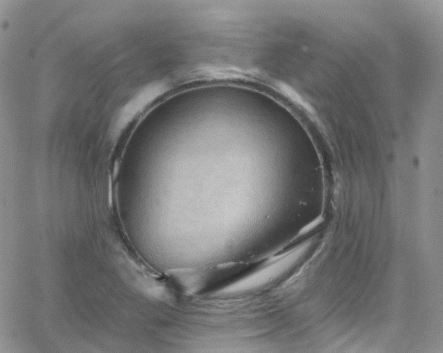 X0000066091269200603171046