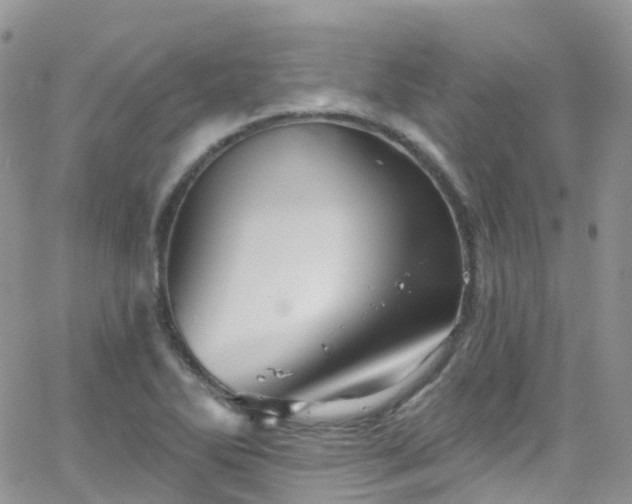 X0000066091270200603171046