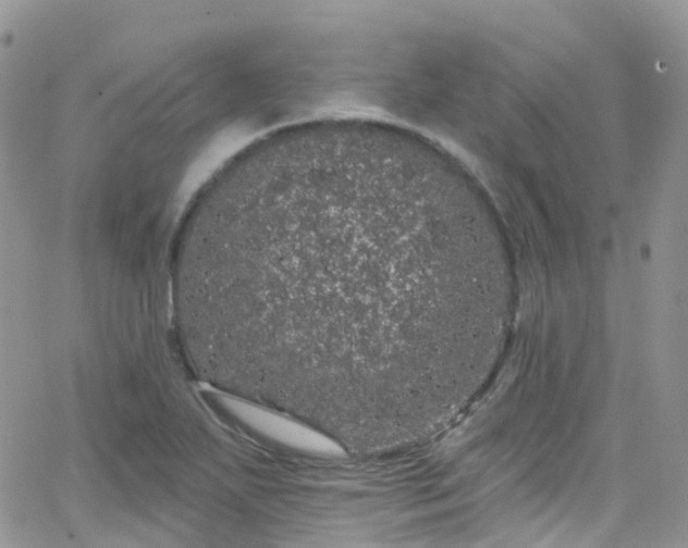 X0000066091271200603171046