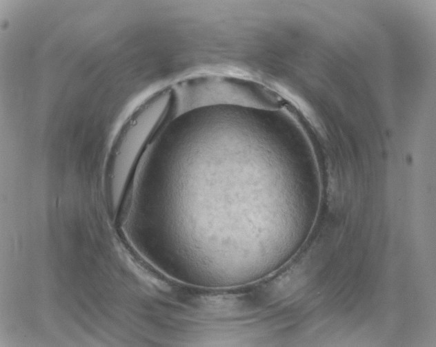 X0000066091272200603171046