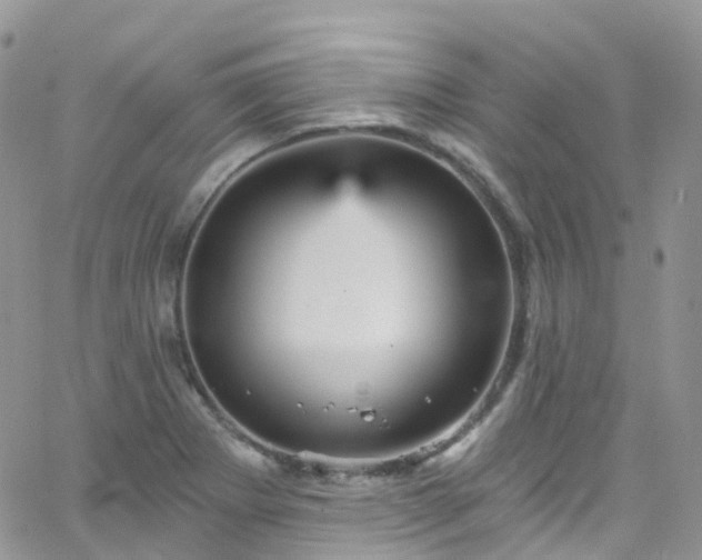 X0000066091273200603171046