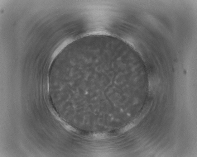 X0000066091274200603171046