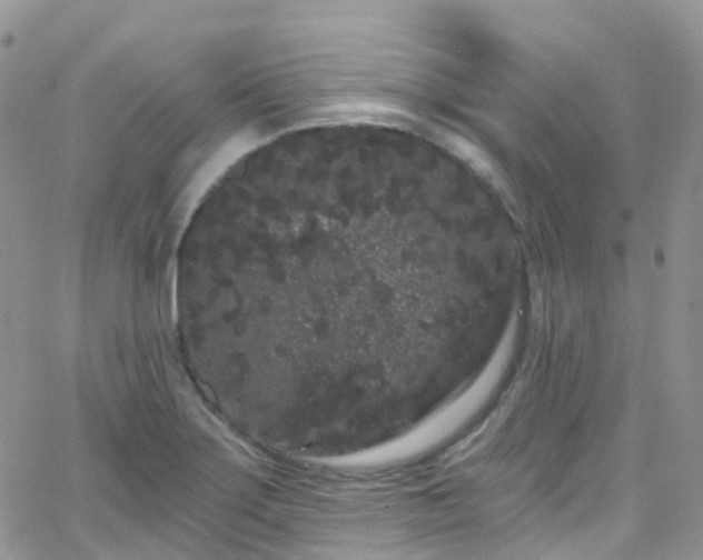 X0000066091275200603171046