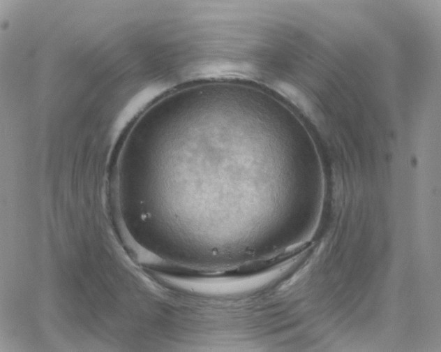 X0000066091277200603171046