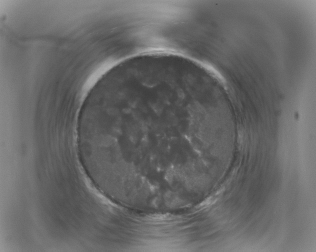 X0000066091279200603171046