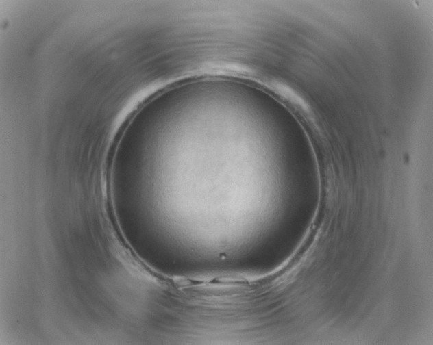 X0000066091280200603171046