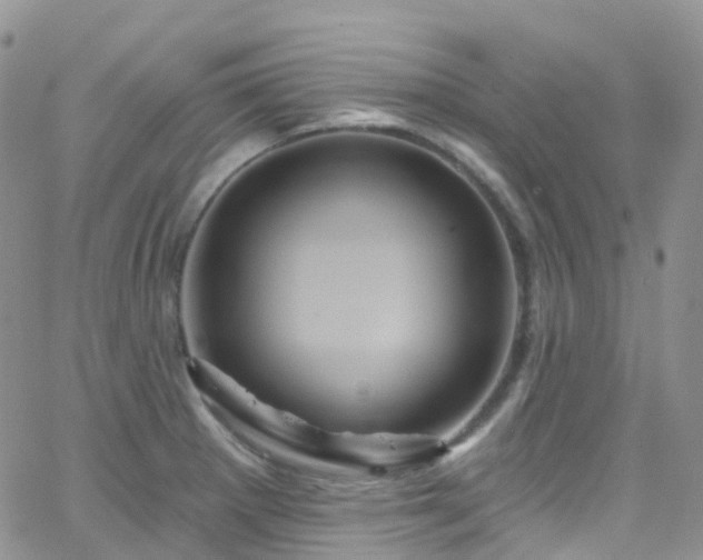 X0000066091281200603171046