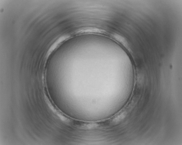 X0000066091282200603171046