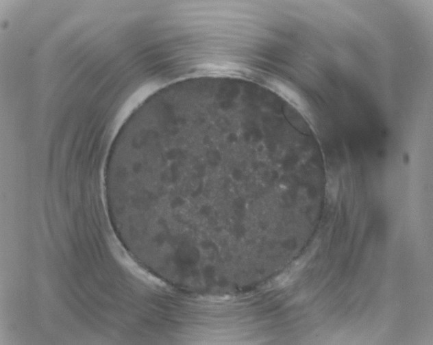 X0000066091283200603171046