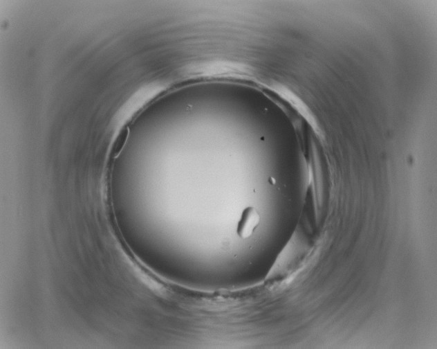 X0000066091285200603171046