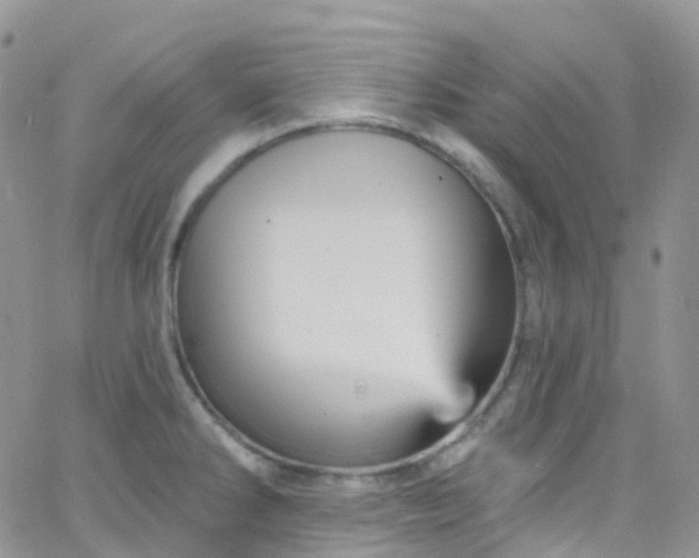 X0000066091286200603171046