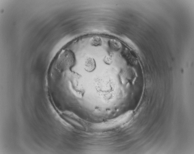 X0000066091287200603171046