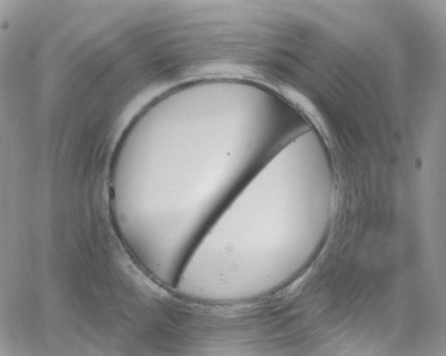 X0000066091288200603171046