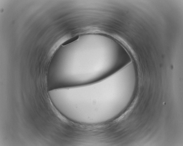 X0000066091289200603171046