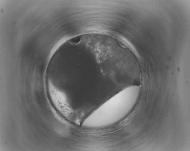 X0000066091291200603171046