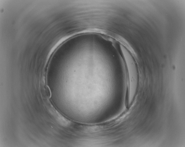 X0000066091292200603171046