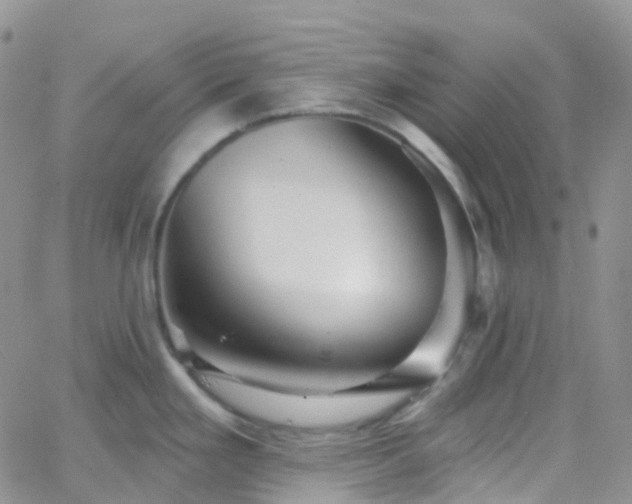 X0000066091293200603171046