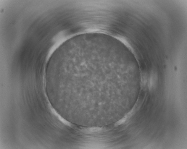 X0000066091294200603171046