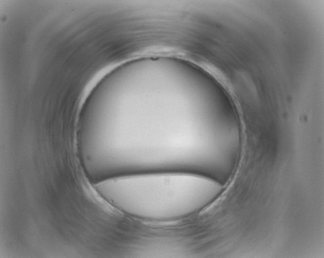 X0000066091296200603171046