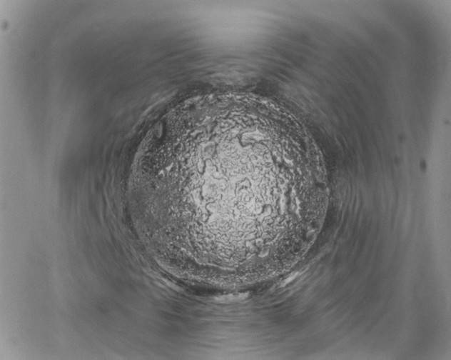 X0000066091297200603171045