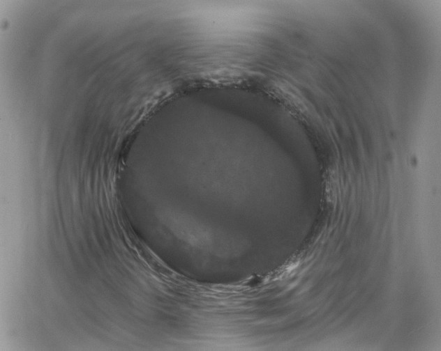 X0000066091298200603171045