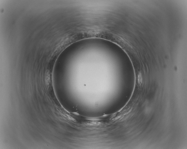 X0000066091299200603171045