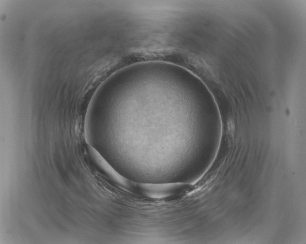 X0000066091300200603171045