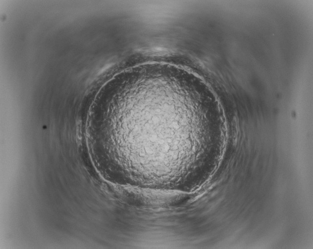 X0000066091301200603171045