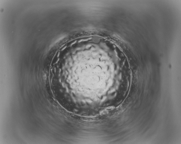 X0000066091302200603171045