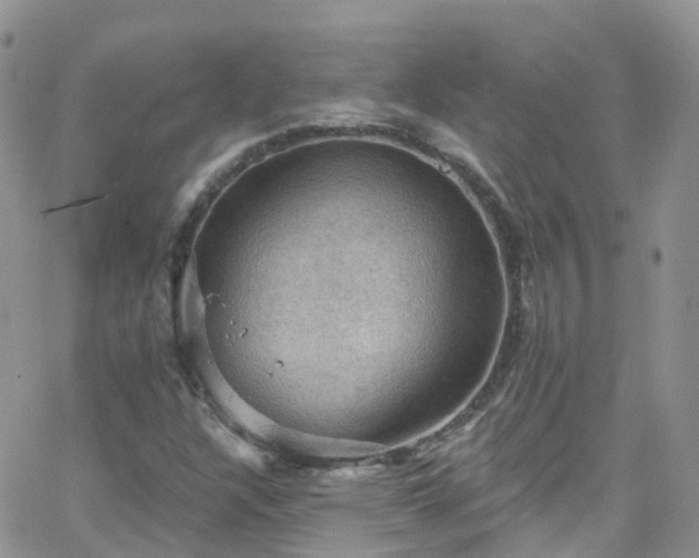 X0000066091304200603171045