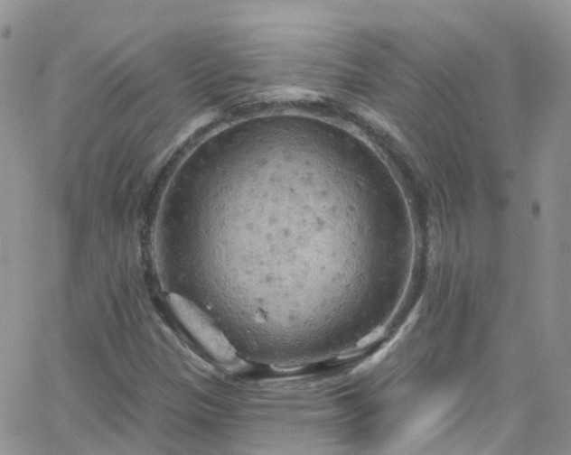 X0000066091305200603171045