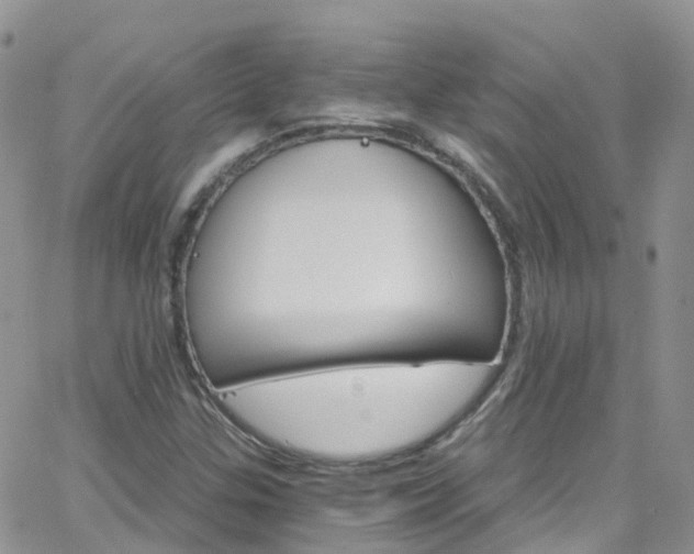 X0000066091307200603171045