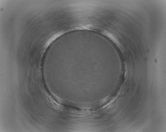 X0000066091308200603171045