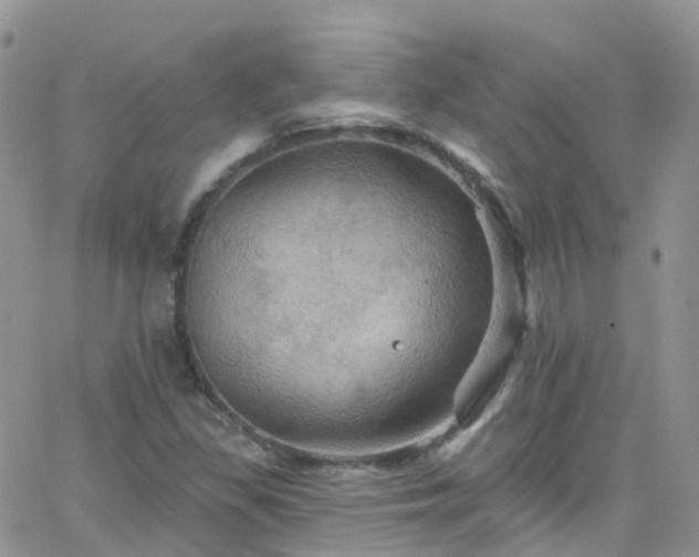 X0000066091309200603171045