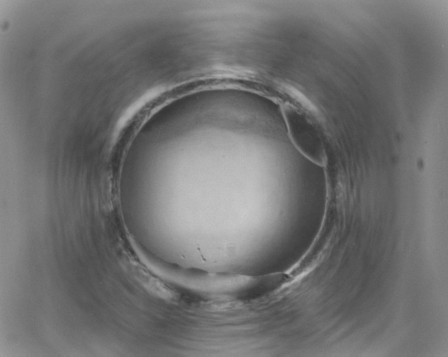 X0000066091310200603171045