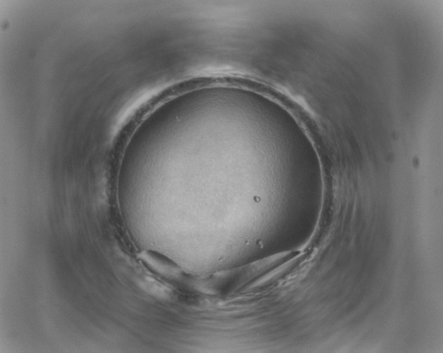 X0000066091311200603171045