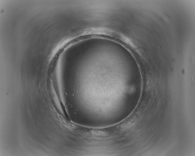 X0000066091312200603171045