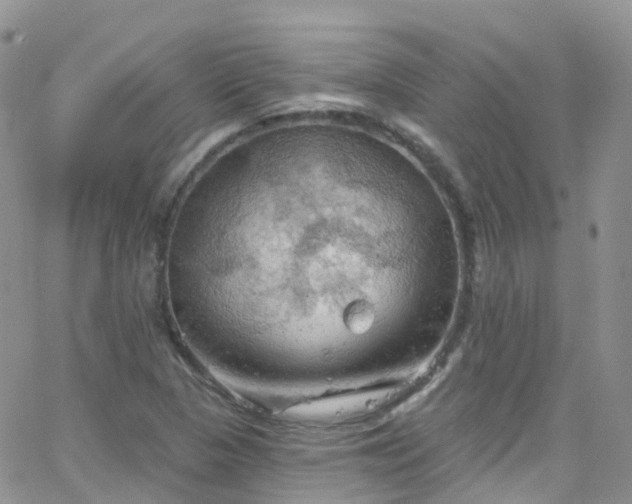 X0000066091313200603171045