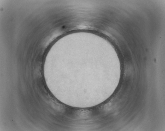 X0000066091314200603171045