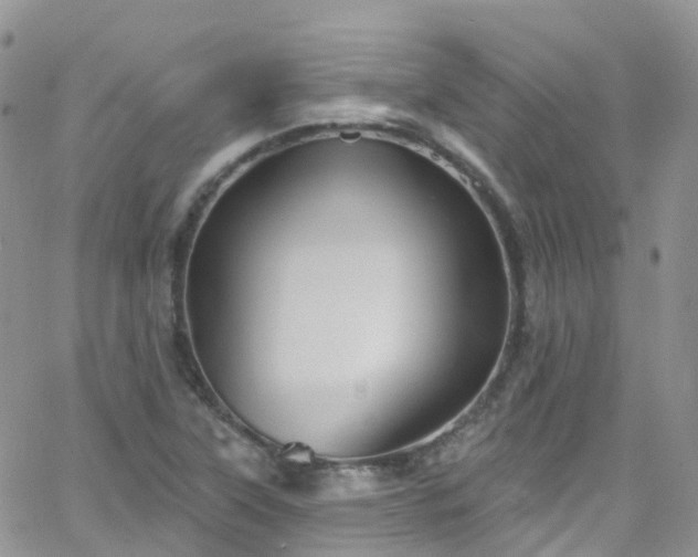 X0000066091315200603171045