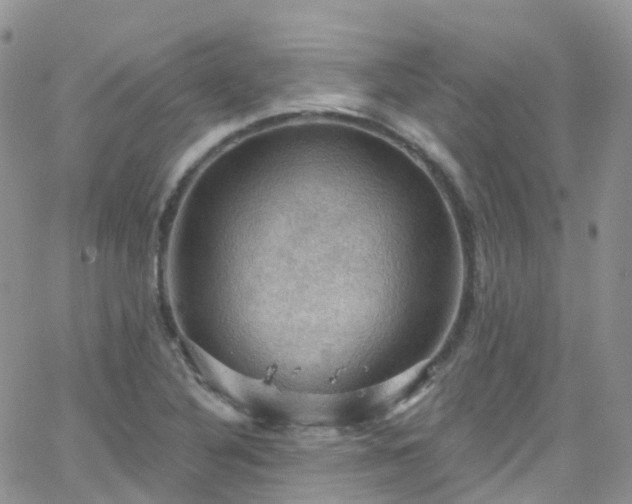 X0000066091316200603171045