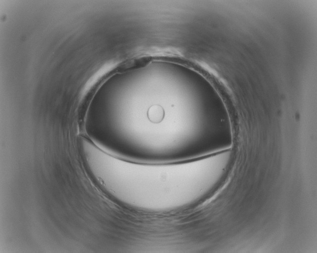 X0000066091317200603171045