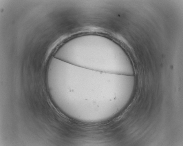 X0000066091318200603171045